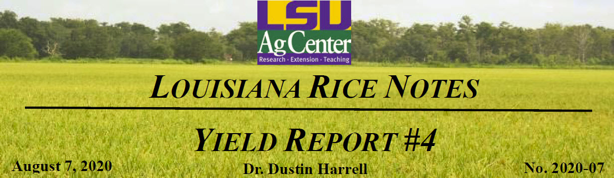 2020 Louisiana Rice Field Notes #7